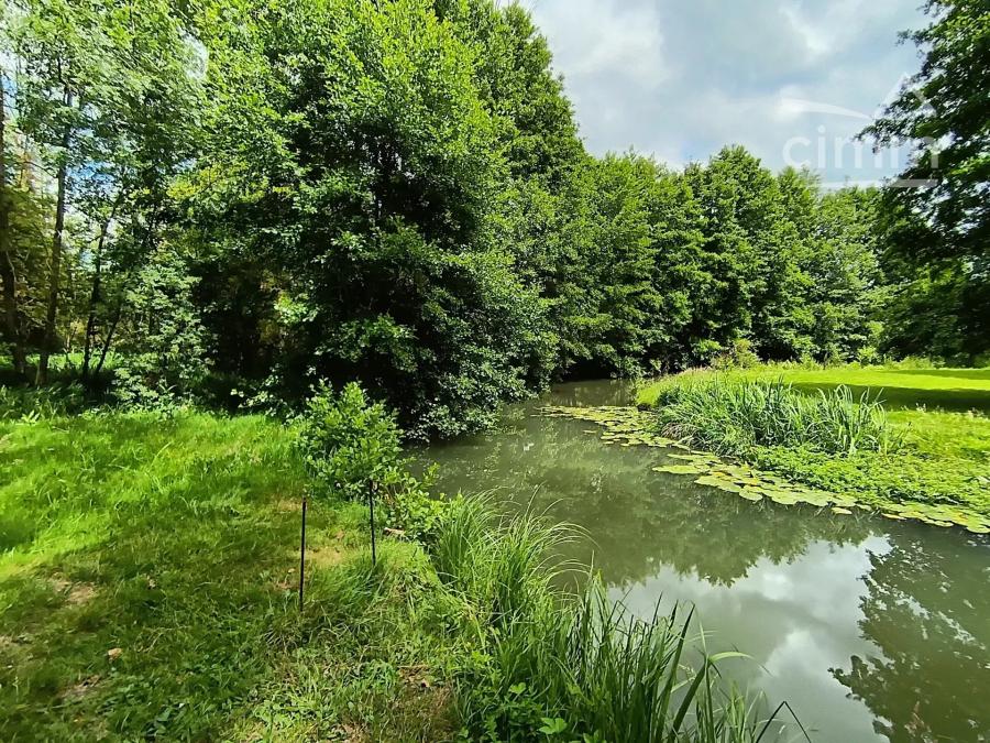 Photo principale - Terrain à Saint-Lubin-en-Vergonnois