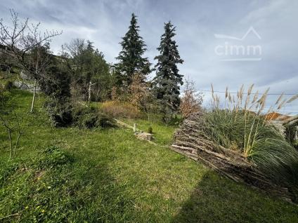 Bien APIMO:84335059 - Photo 6
