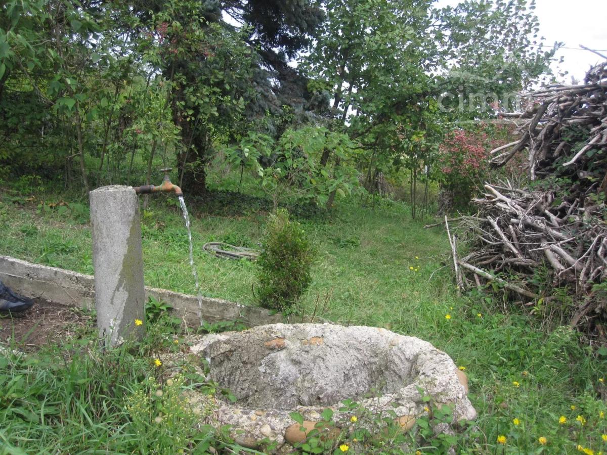 Photo 16 - Terrain à Saint-Jean-de-Galaure
