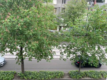 Bien APIMO:87121475 - Photo 7