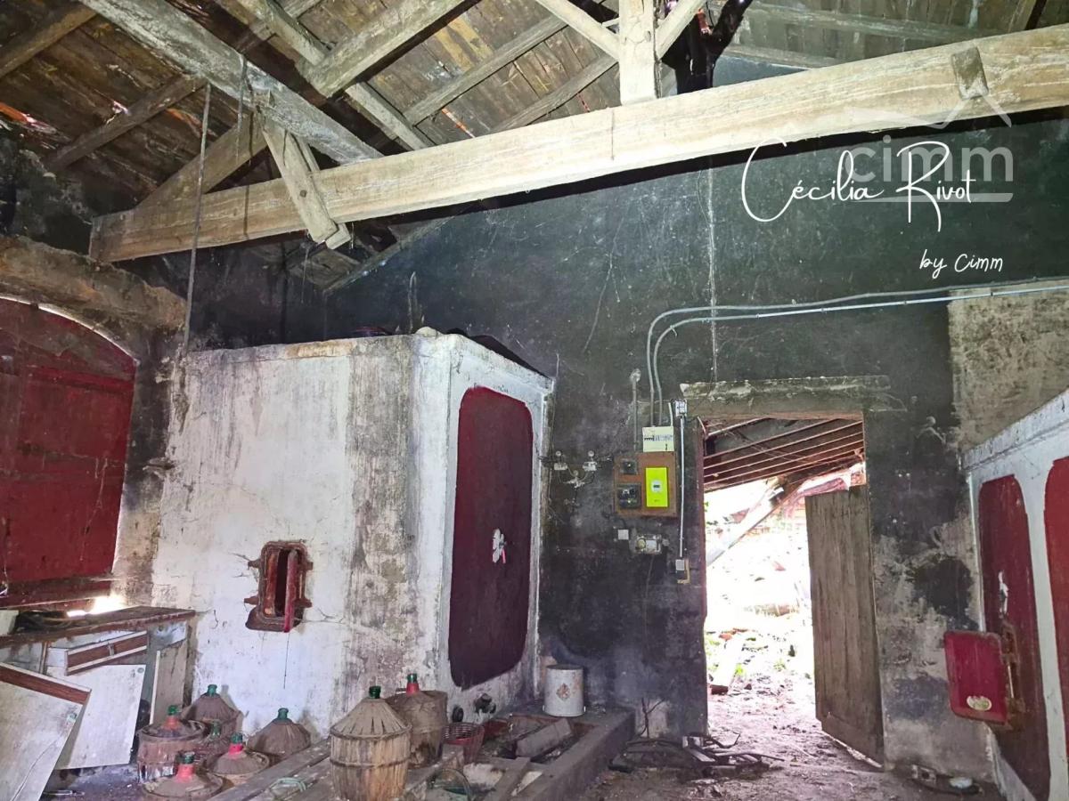 Photo 4 - Maison à Eyrans