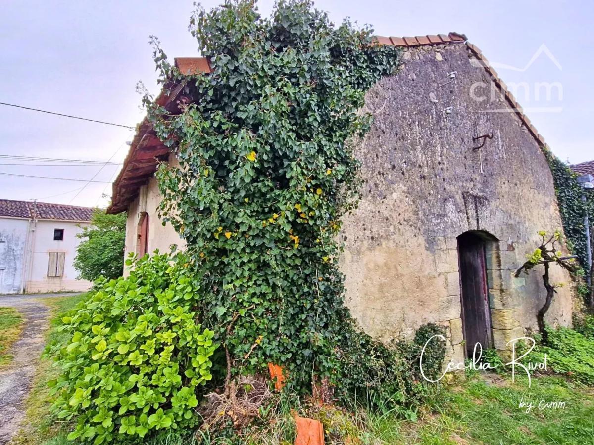 Photo 5 - Maison à Eyrans