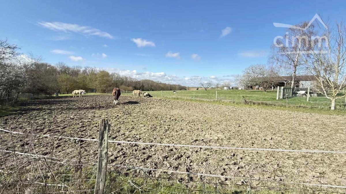 Photo 3 - Maison à Champigny-en-Beauce