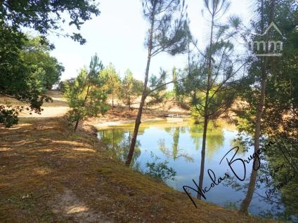 Bien APIMO:87100722 - Photo 6