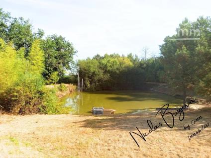 Bien APIMO:87100722 - Photo 13