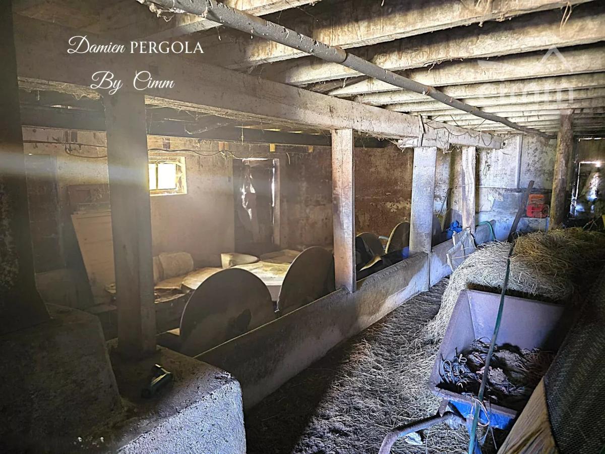 Photo 3 - Maison à Montignac-Lascaux