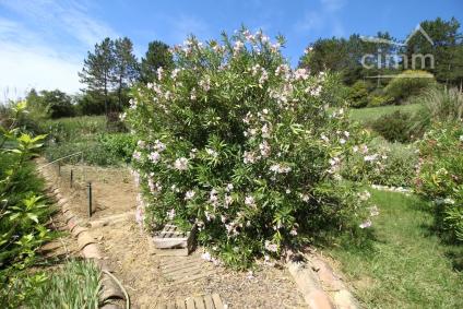 Bien APIMO:85020704 - Photo 4