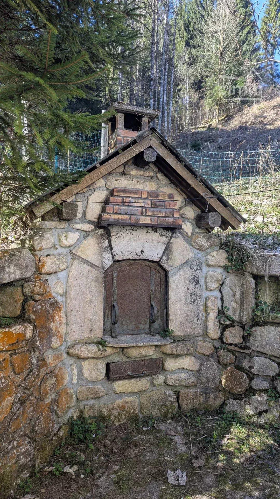 Photo 22 - Maison à Saint-Pierre-de-Chartreuse