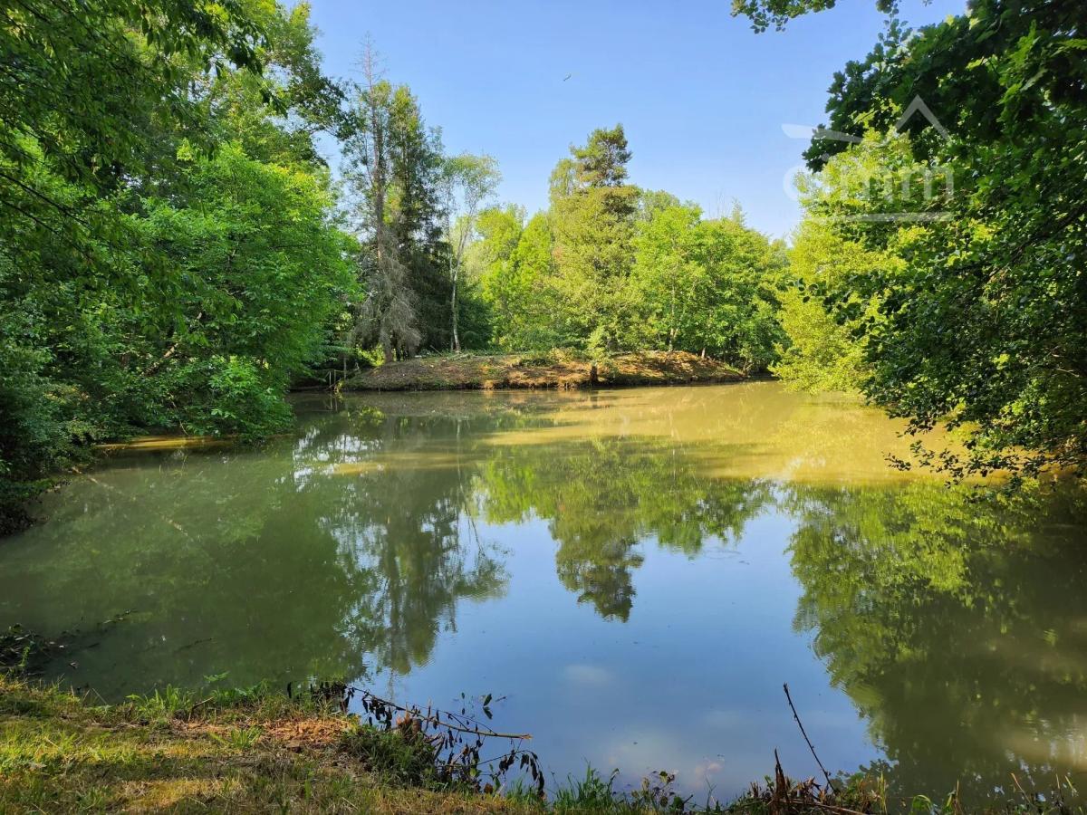 Photo principale - Terrain à Saint-Georges-sur-Moulon