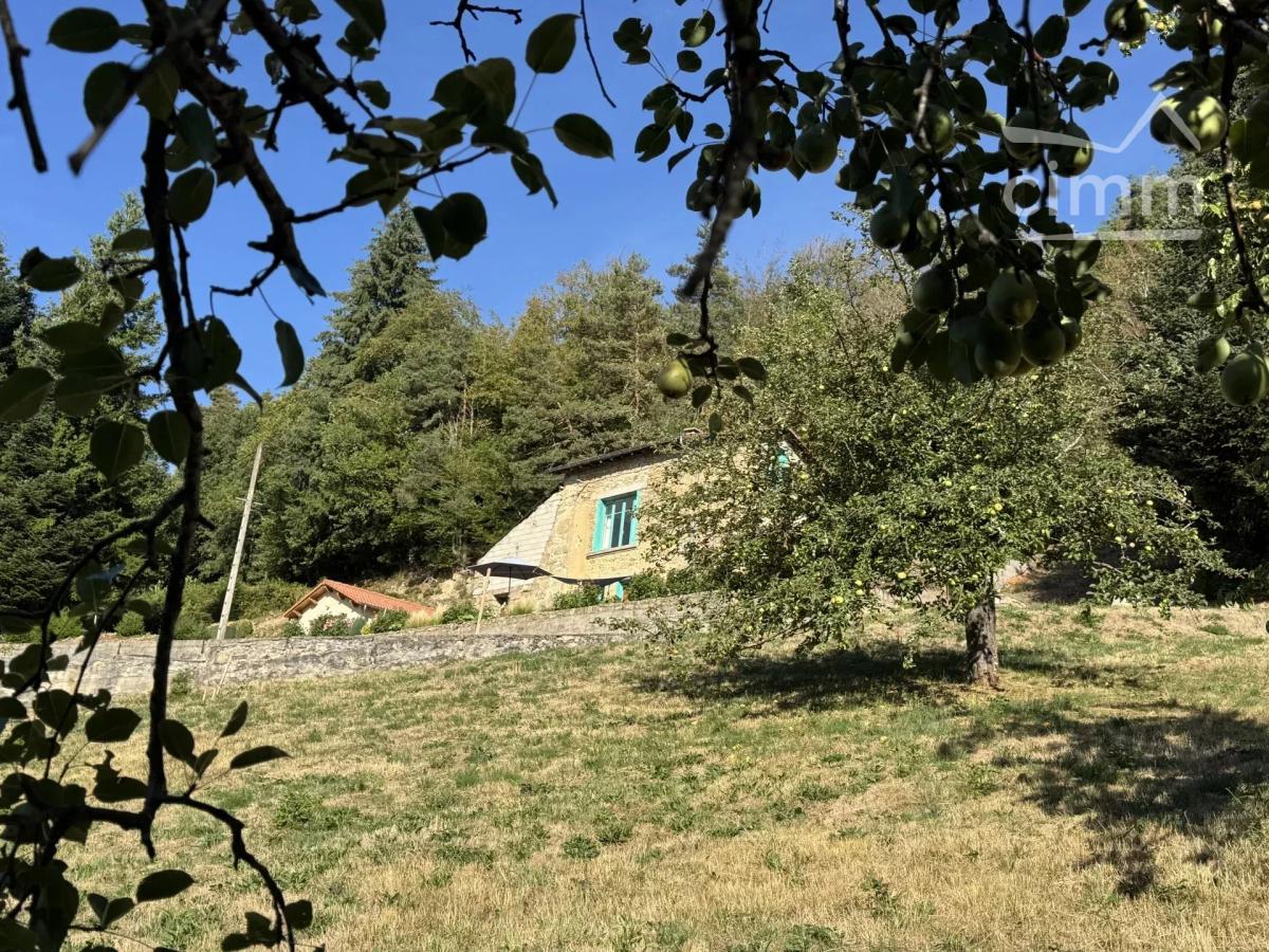 Photo 35 - Maison à Thiolières