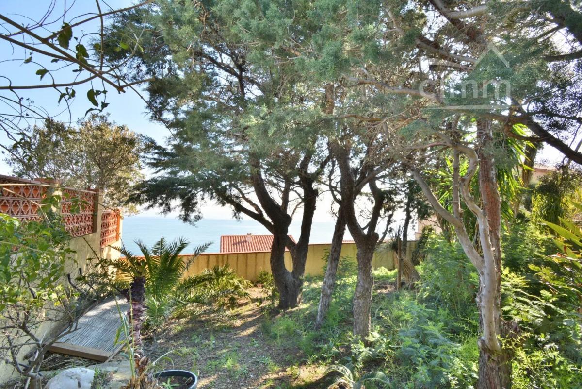 Photo 23 - Maison à Banyuls-sur-Mer