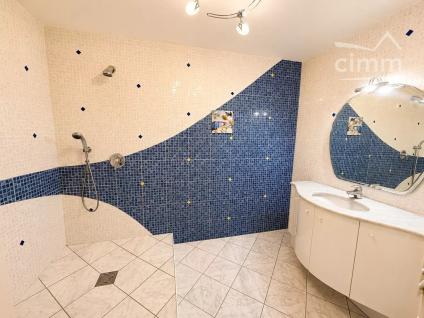 Bien APIMO:87300027 - Photo 11