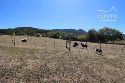 Bien APIMO:87294079 - Photo 29