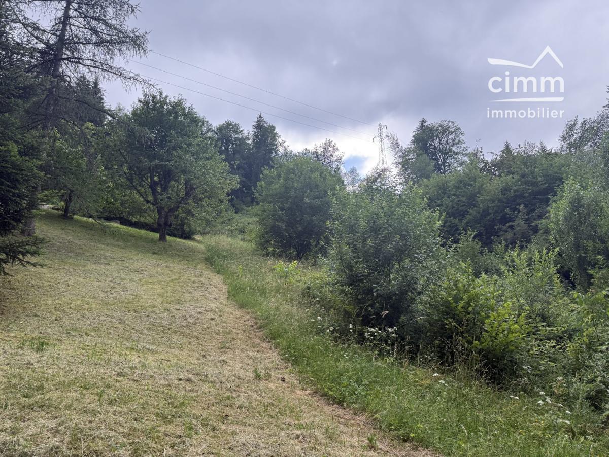 Photo 2 - Terrain à Domancy