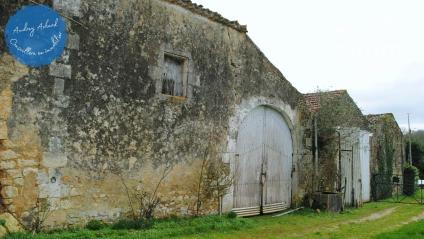 Bien APIMO:86757508 - Photo 14