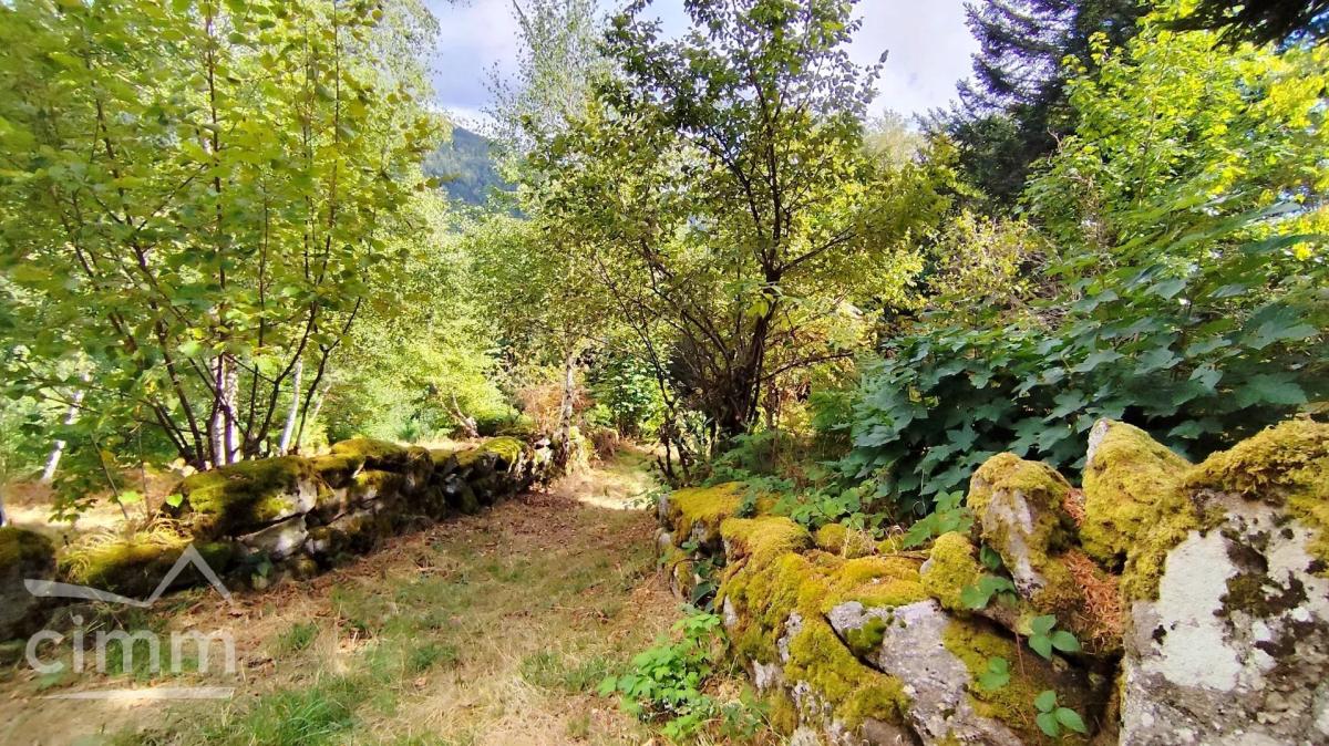 Photo 11 - Maison à Job