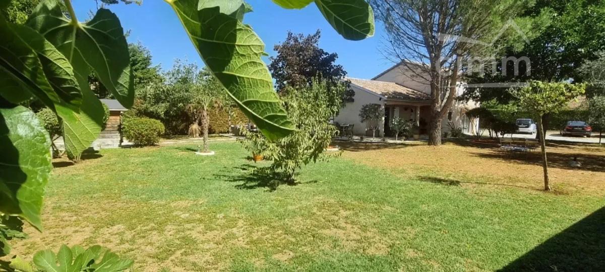 Photo 4 - Maison à Chanas