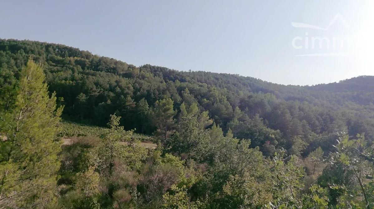 Photo 3 - Terrain à Roquetaillade