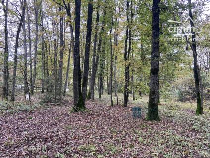 Bien NETTY:GROUP:VT1383 - Photo 2