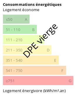 Diagnostic DPE