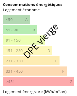 Diagnostic DPE