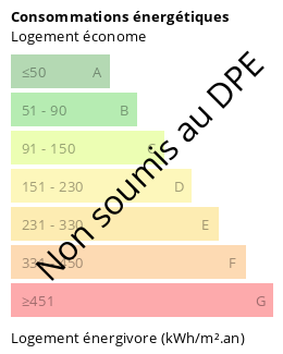 Diagnostic DPE