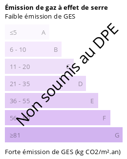 Diagnostic GES