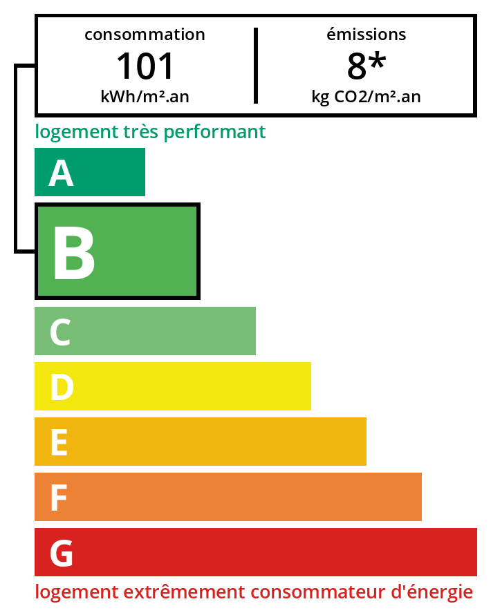Diagnostic DPE