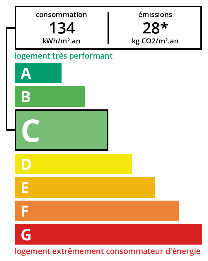 Diagnostic DPE