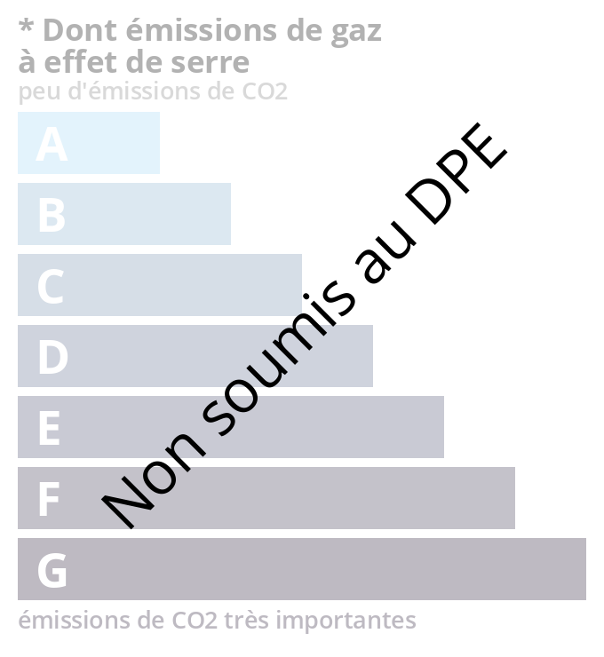 Diagnostic GES