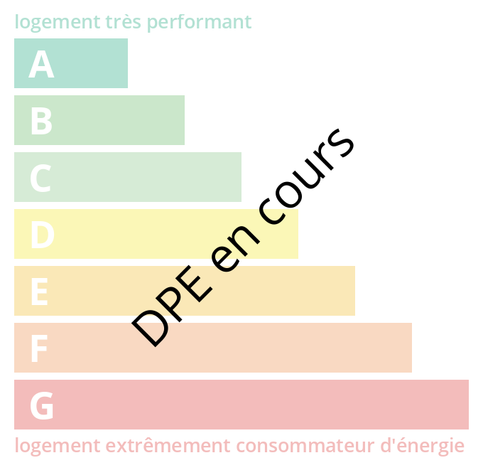 Diagnostic DPE