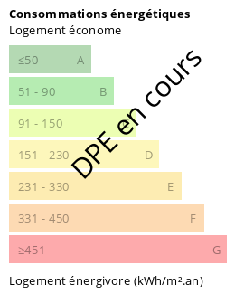 Diagnostic DPE